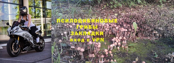 герыч Шали