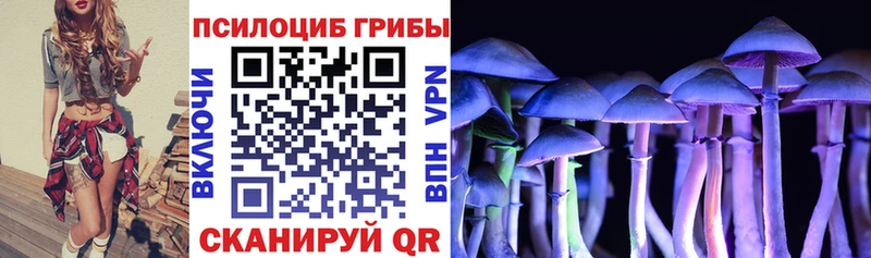 Галлюциногенные грибы MAGIC MUSHROOMS  hydra ТОР  Краснодар 
